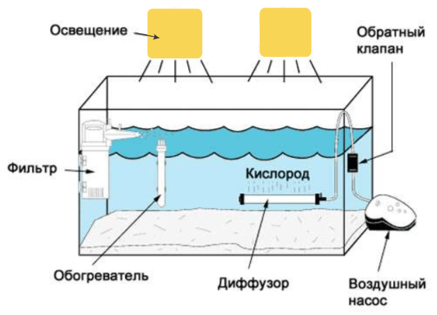 Решение рисунок 2