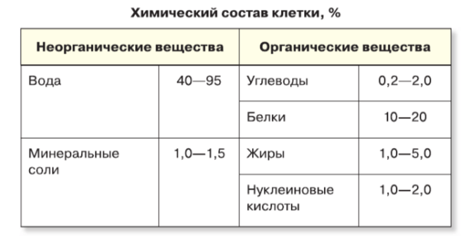 Задание рисунок 1