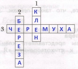 Решение рисунок 1