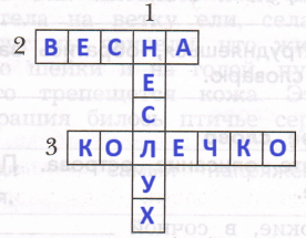 Решение рисунок 1