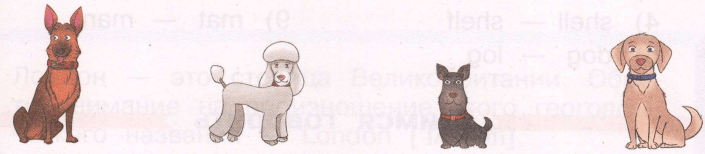Задание рисунок 1