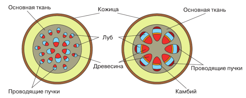 Решение рисунок 1