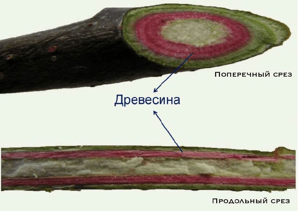 Решение рисунок 2