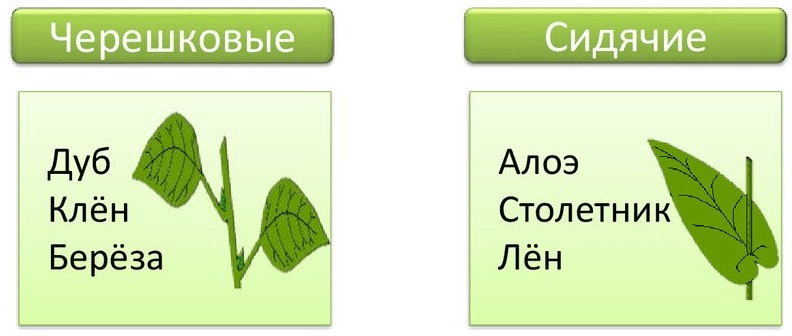 Решение рисунок 2