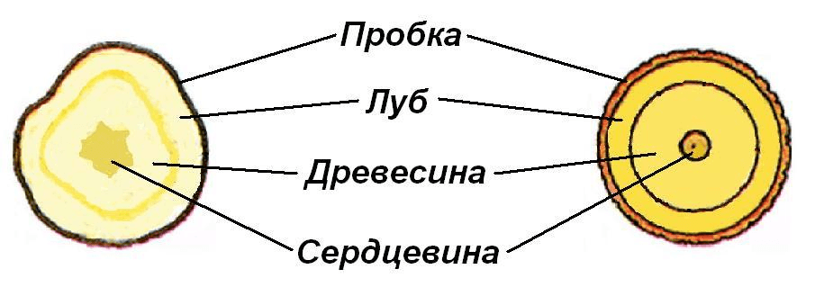 Решение рисунок 1