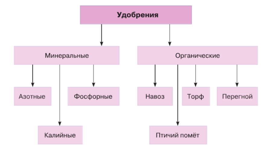 Решение рисунок 1