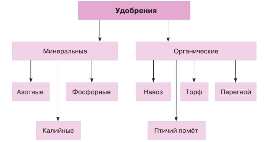 Решение рисунок 1