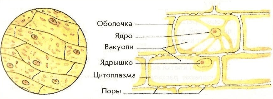 Решение рисунок 1