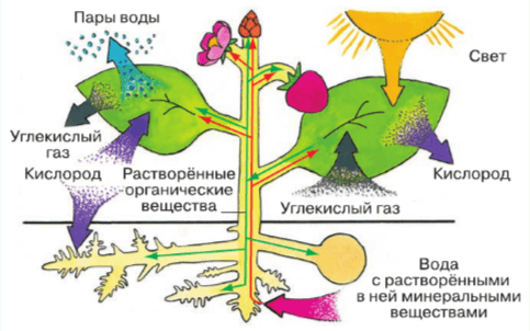 Задание рисунок 1