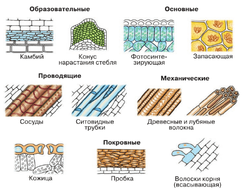 Решение рисунок 1