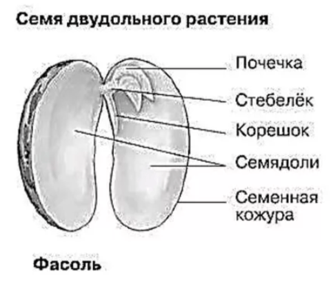 Решение рисунок 1