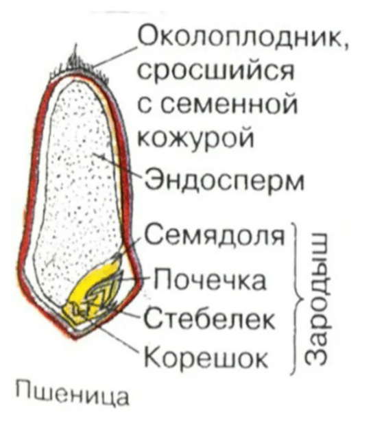 Решение рисунок 1