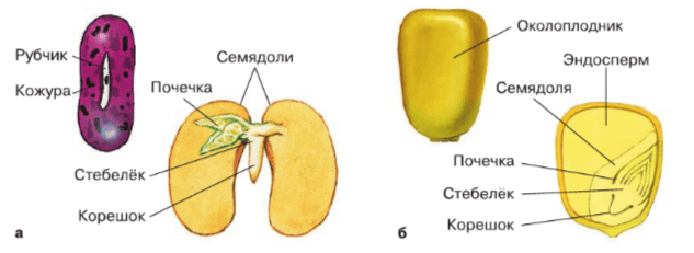Задание рисунок 1