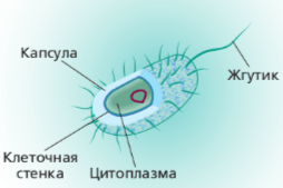 Решение рисунок 1