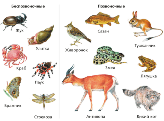 Решение рисунок 2