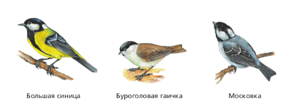 Задание рисунок 1
