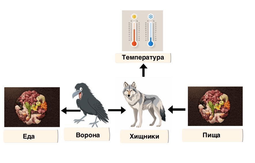 Решение рисунок 1