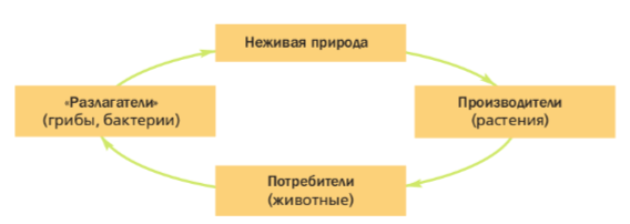Решение рисунок 1