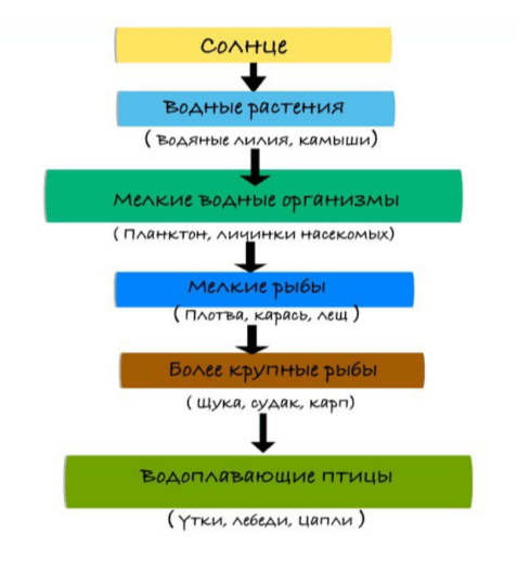 Решение рисунок 1