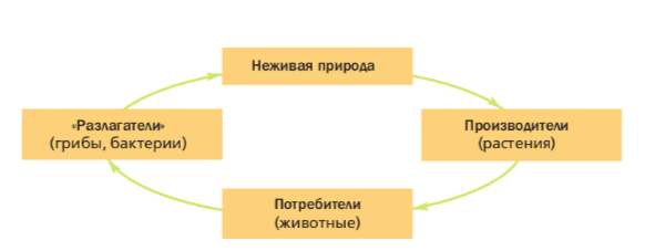 Задание рисунок 1