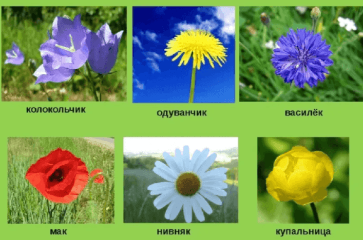 Решение рисунок 3