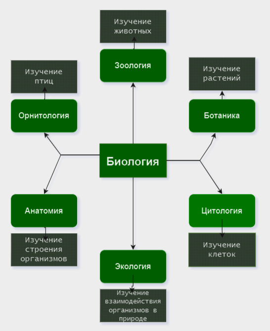 Решение рисунок 1