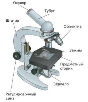 Решение рисунок 1