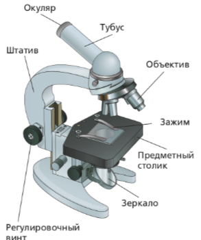 Решение рисунок 1