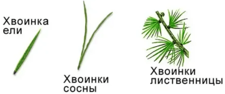 Решение рисунок 1