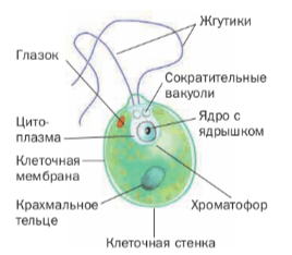 Решение рисунок 2