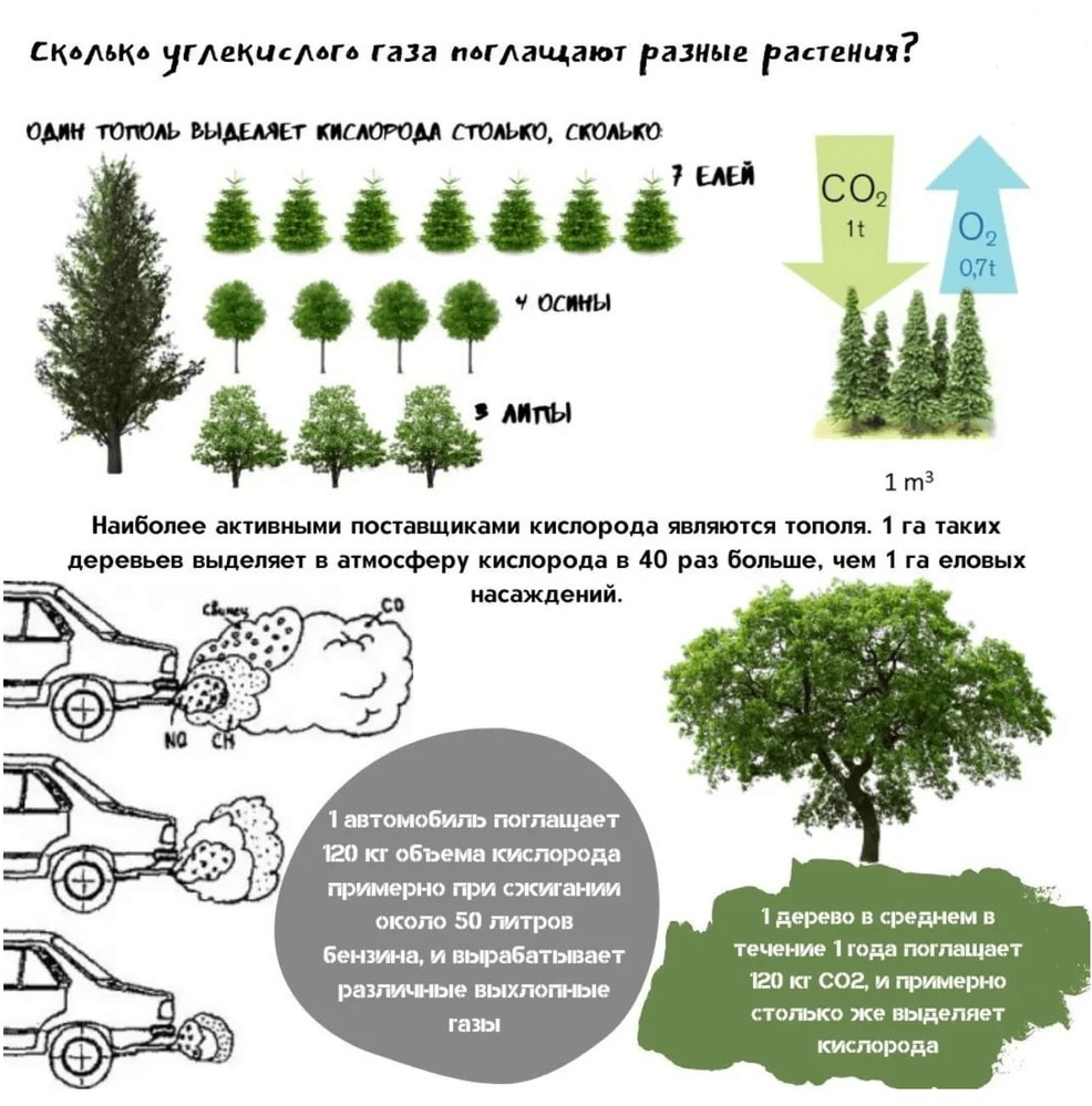 Решение рисунок 2
