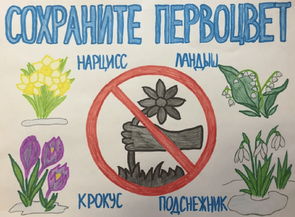 Решение рисунок 1
