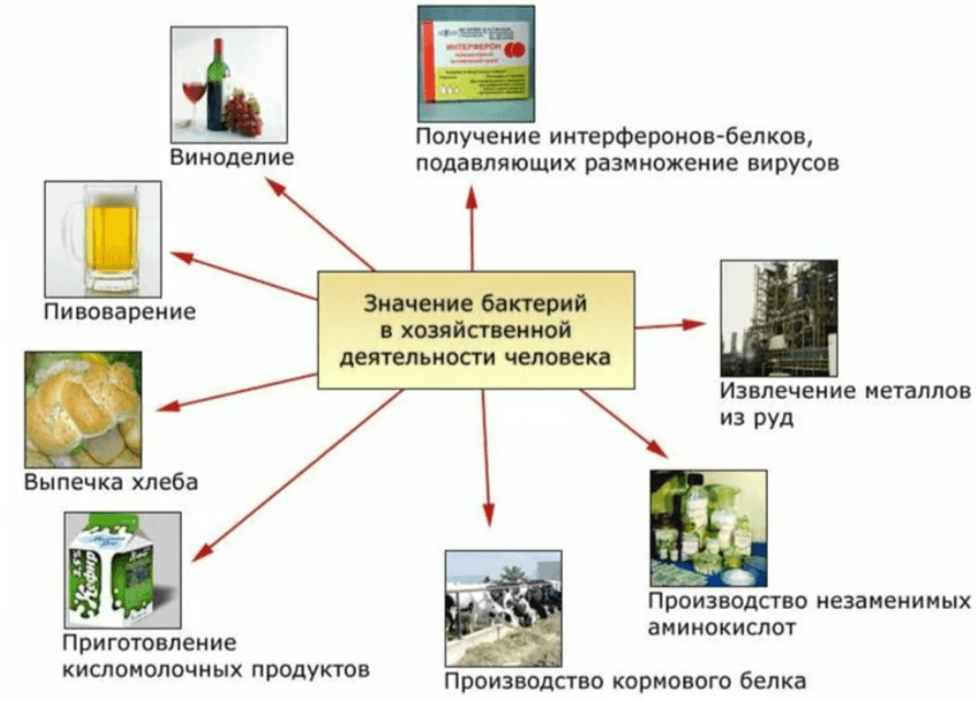 Решение рисунок 1