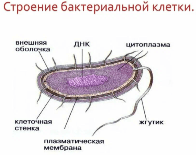 Решение рисунок 1