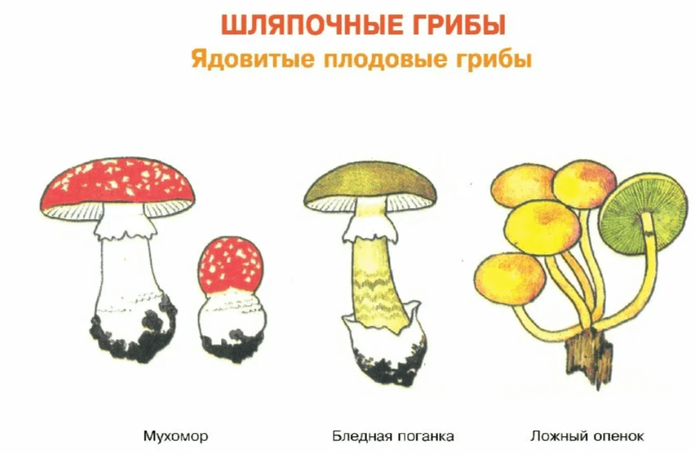 Решение рисунок 2