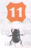 Решение рисунок 5