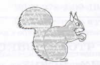 Решение рисунок 3