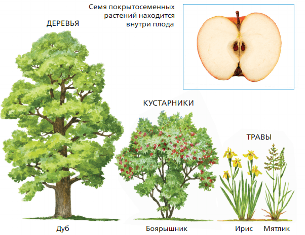 Задание рисунок 1