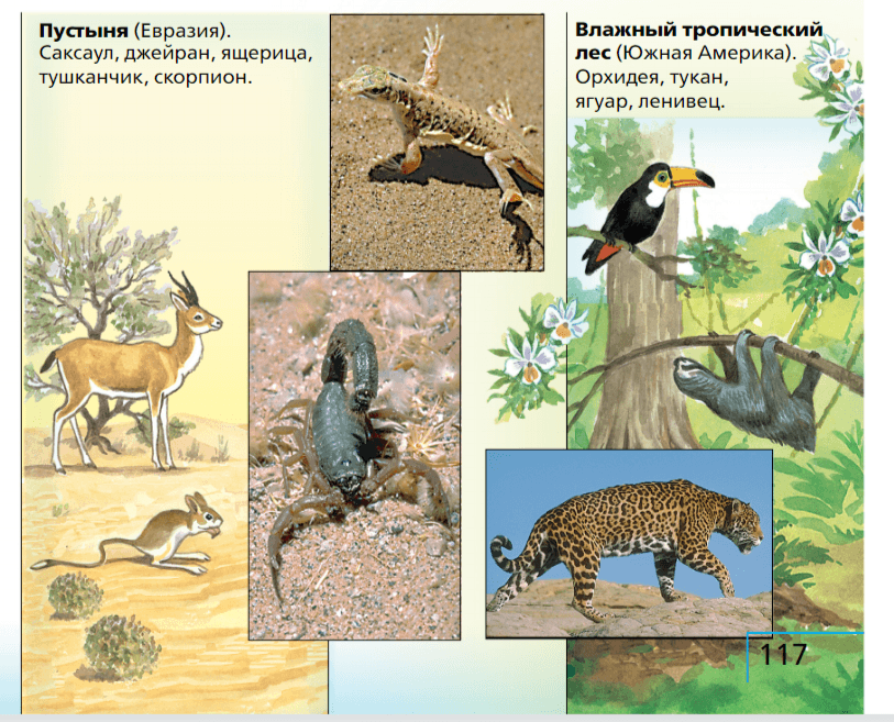 Задание рисунок 2