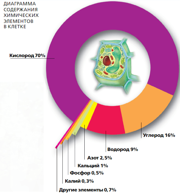Задание рисунок 1