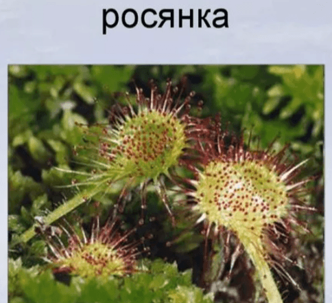 Решение рисунок 9