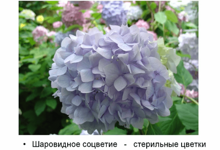 Решение рисунок 10