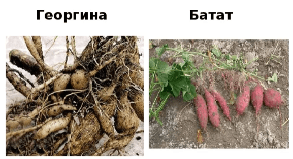 Решение рисунок 3