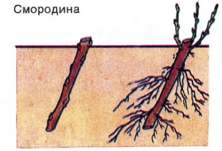 Решение рисунок 6