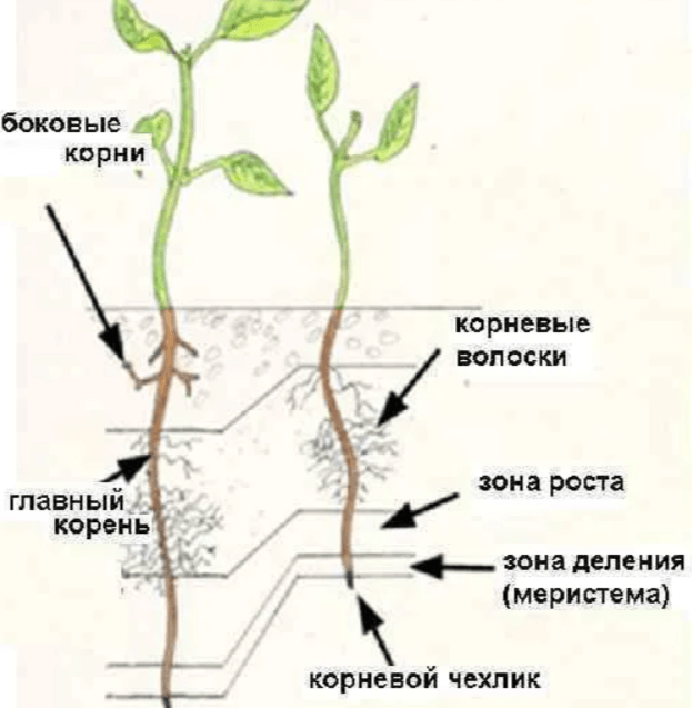 Решение рисунок 2