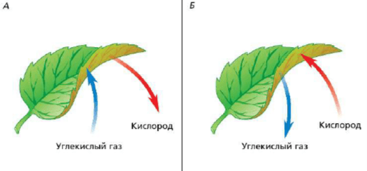 Задание рисунок 1