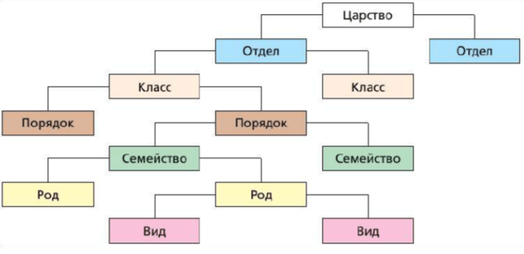 Решение рисунок 1
