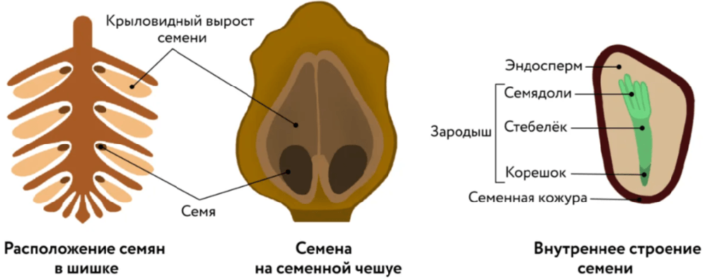 Решение рисунок 2