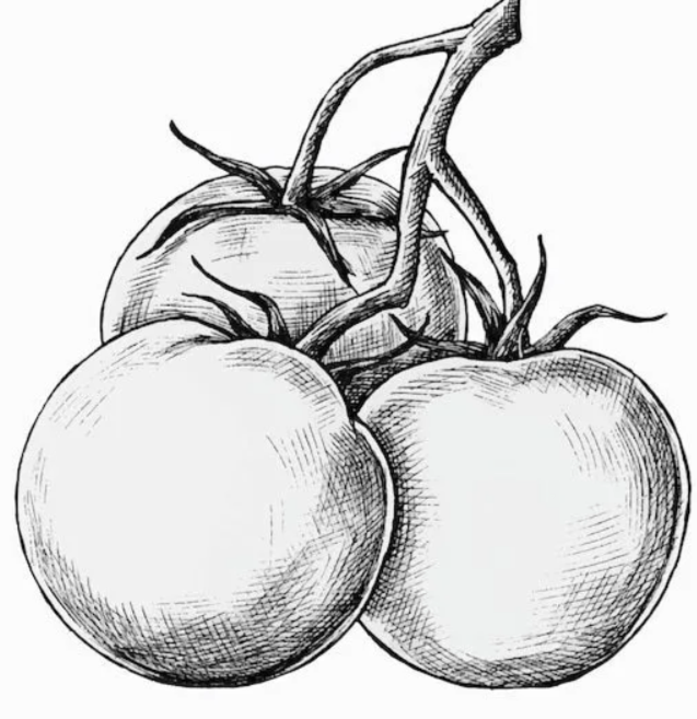 Решение рисунок 1