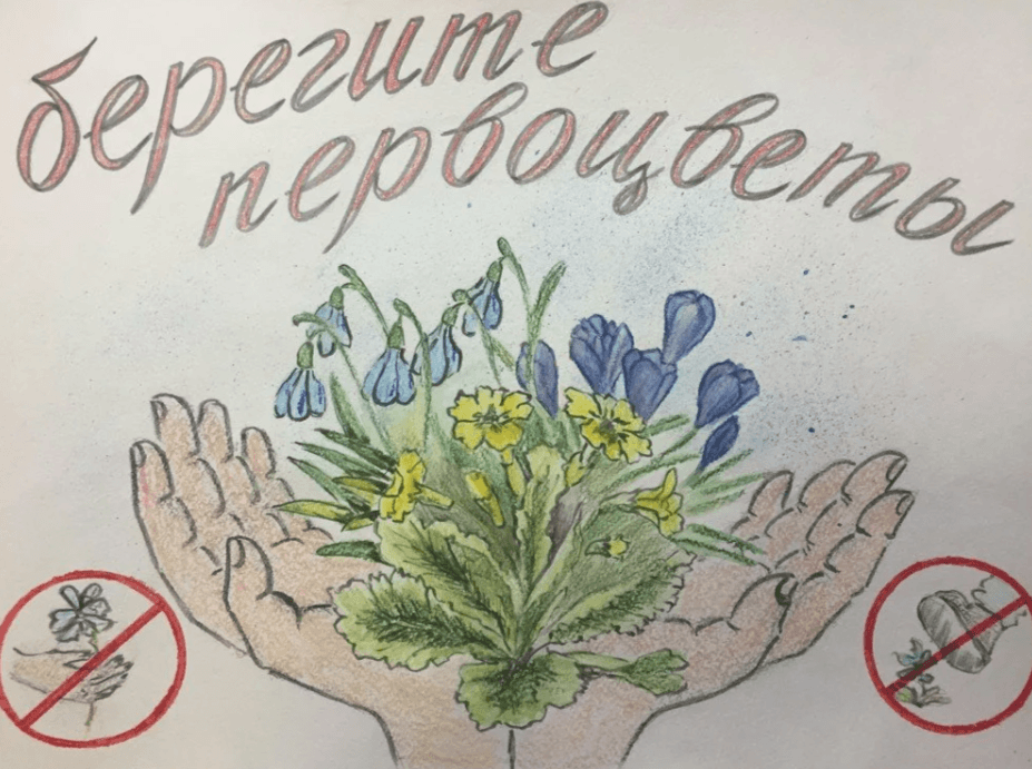 Решение рисунок 1